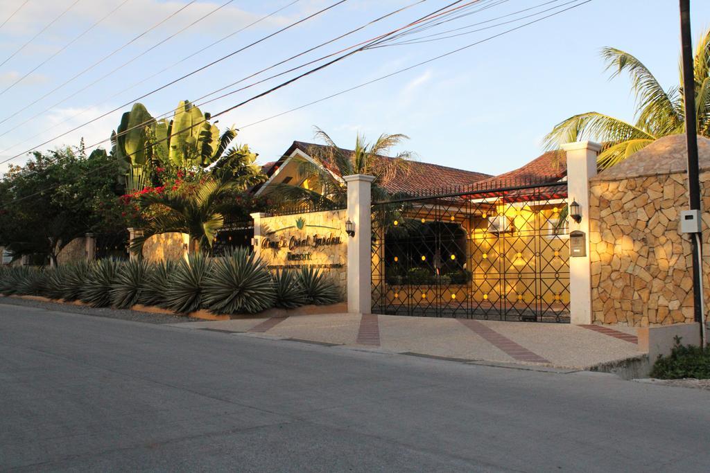 Alona'S Coral Garden Resort (Adults Only) Panglao Exterior photo